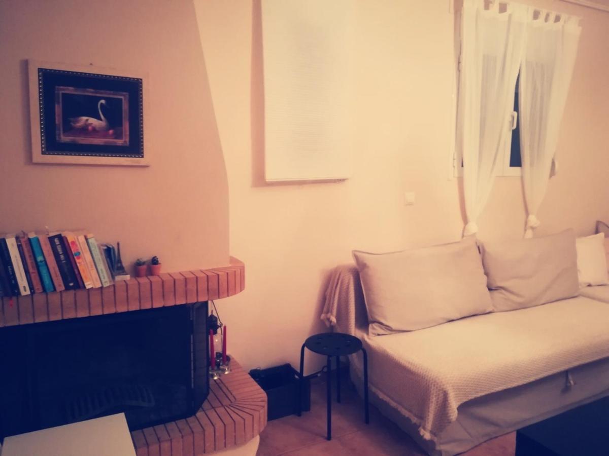 Lux House Next To The Airport Of Athens. Transport 24H Villa Artemida  Exterior photo